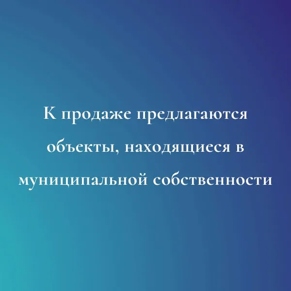 К продаже предлагаются объекты, находящиеся в муниципальной собственности Вознесенского муниципального округа